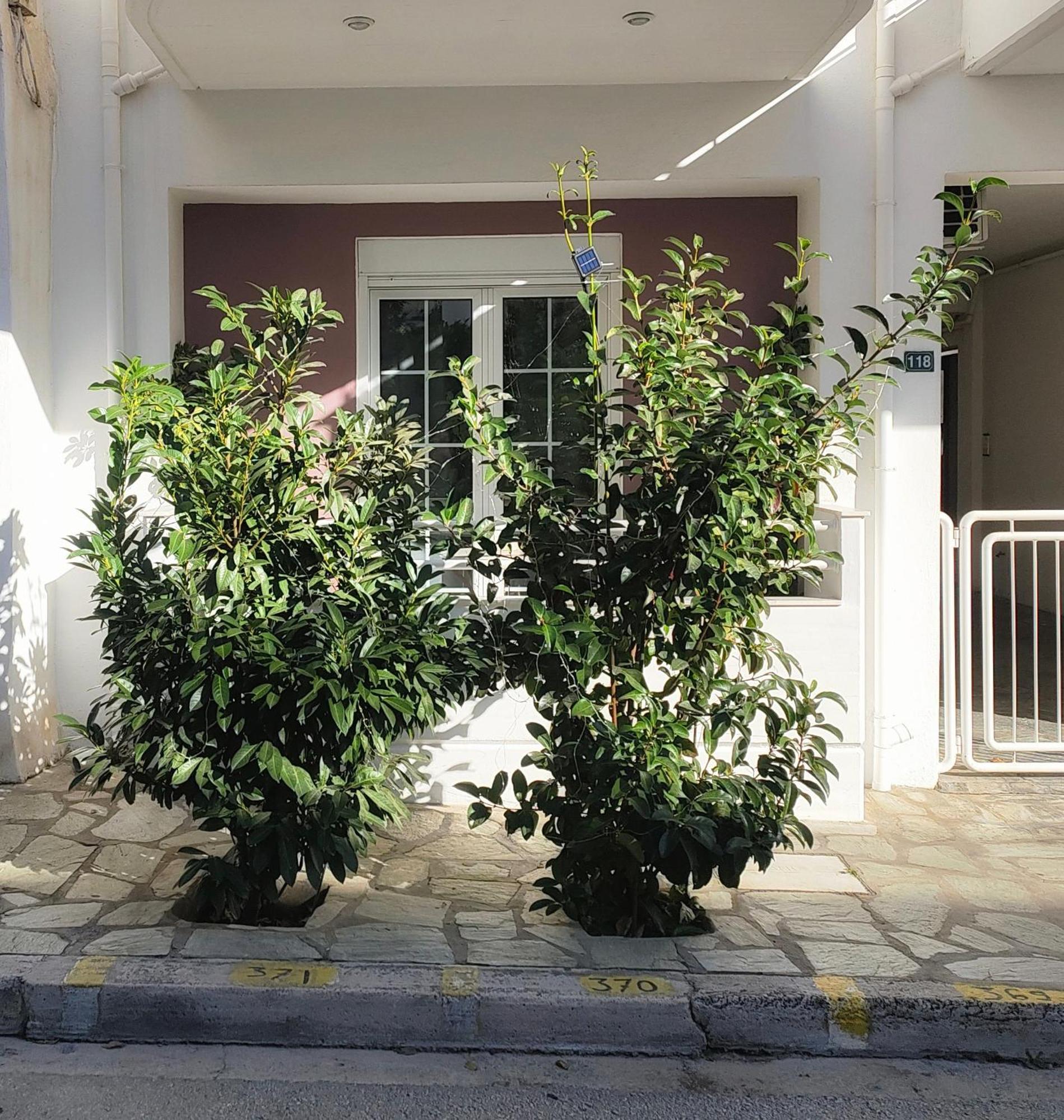 Apartment Home Volos *